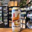 Load image into Gallery viewer, Baron Brewing Landing Gear Pale Ale 4.7%
