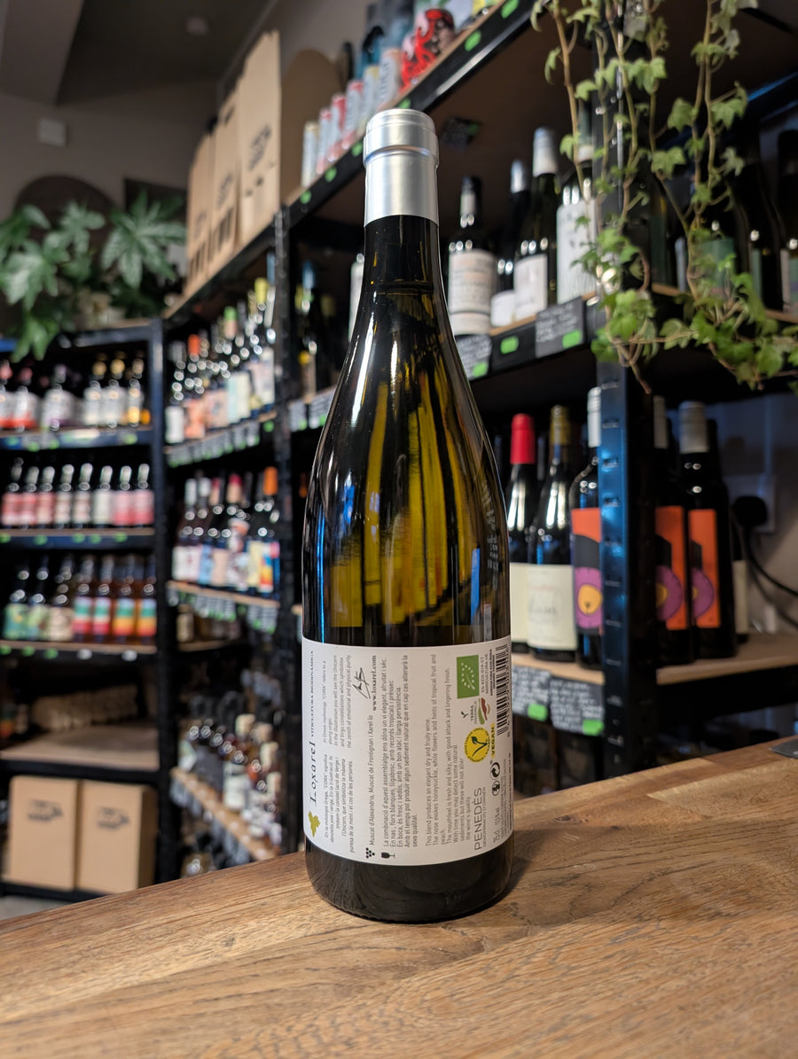 Loxarel Cora Blanco (2023) 12.5%