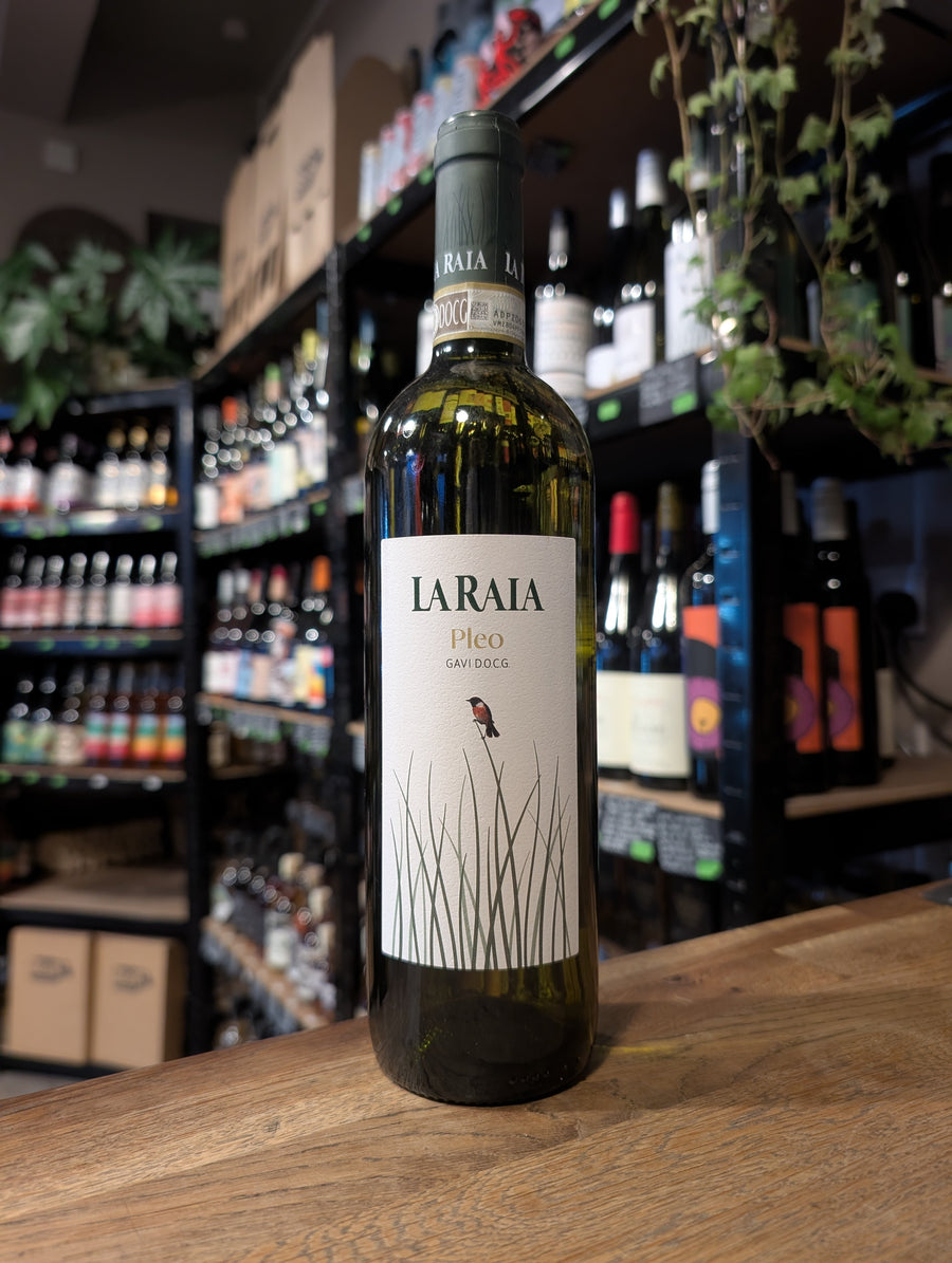 GAVI DI GAVI LA RAIA (2024) 12.5%