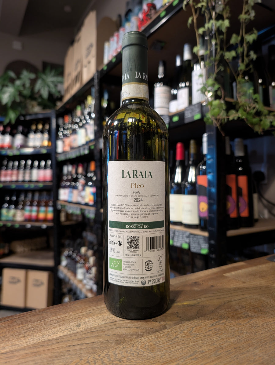 GAVI DI GAVI LA RAIA (2024) 12.5%