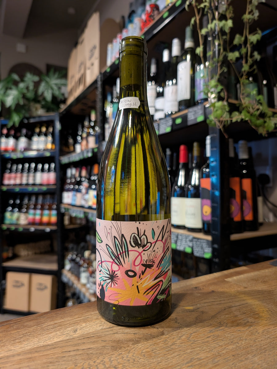 Bloom CDR Blanc Vin des Potes (2022) 12%