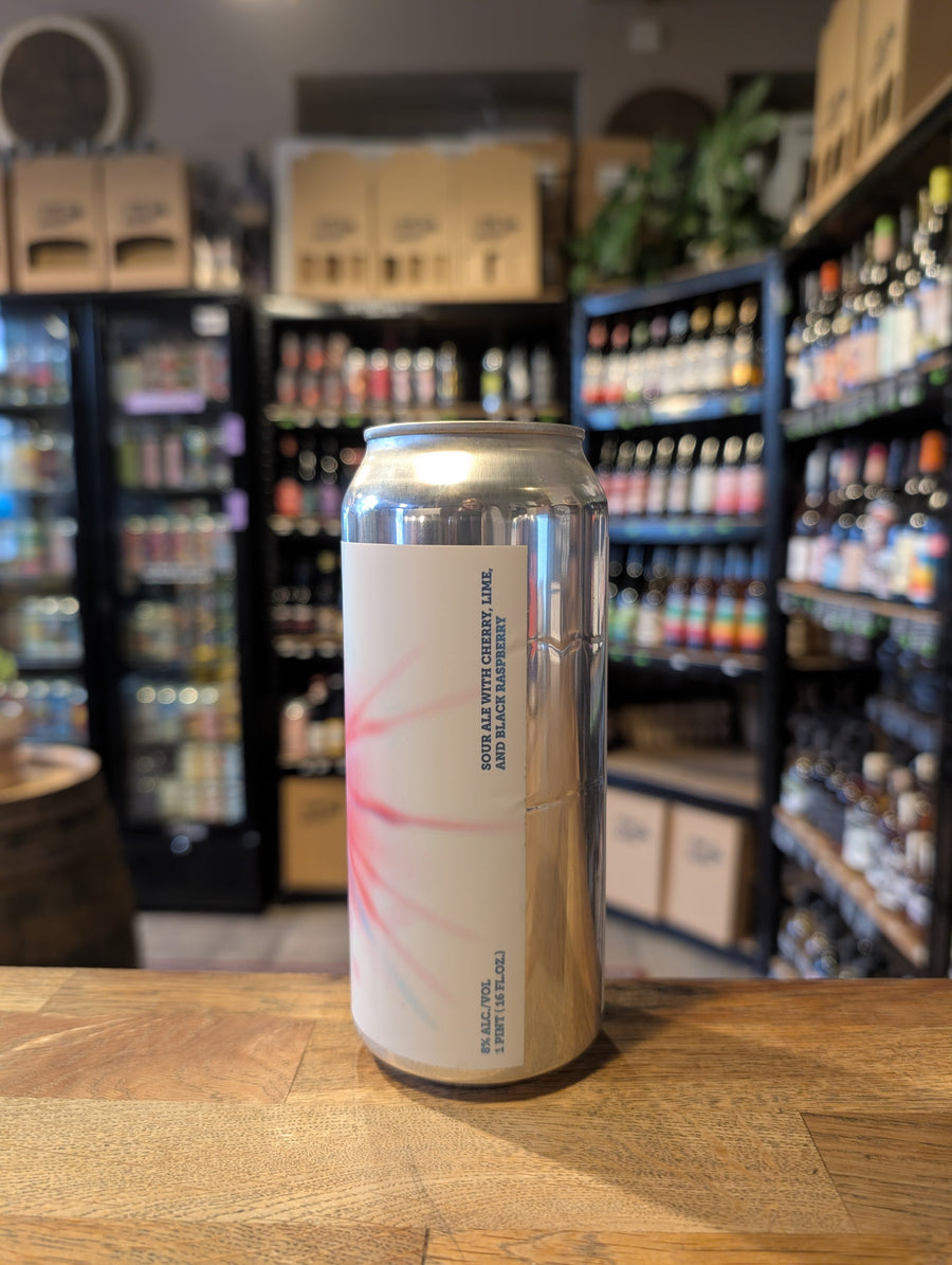 3 Sons Brewing Co, Florida - Rocket POP Sour 8%