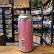 Load image into Gallery viewer, 3 Sons Brewing Co, Florida - Pink Sour Ale w/ Raspberry, Strawberry &amp; Coconut Milk 5.5%
