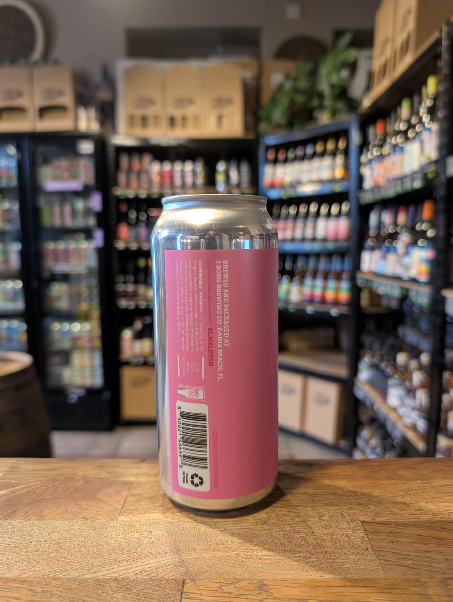 3 Sons Brewing Co, Florida - Pink Sour Ale w/ Raspberry, Strawberry & Coconut Milk 5.5%